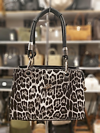 Bayan Kol ve Çapraz Çanta